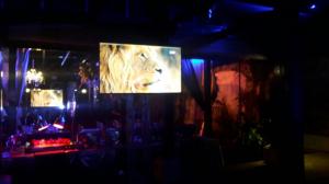 IMG 6628 Zimbali1