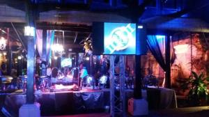IMG 6631 Zimbali4